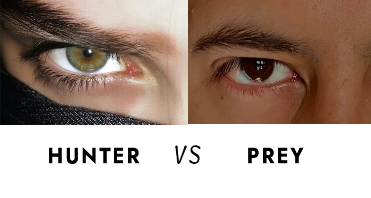 hunter-eye-vs-prey-eye